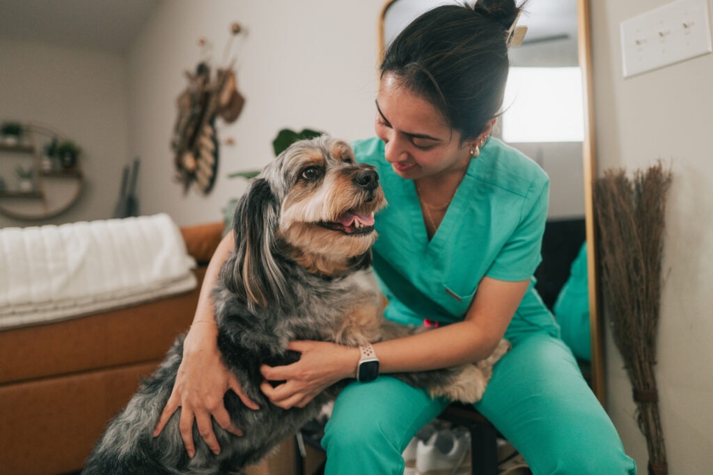 lead poisoning in dogs; a veterinarian hugs her dog.