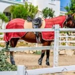 What Is a Scrim Sheet for Horses?