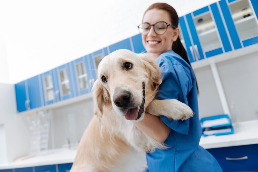 white labrador at vet being hugged by veterinarian