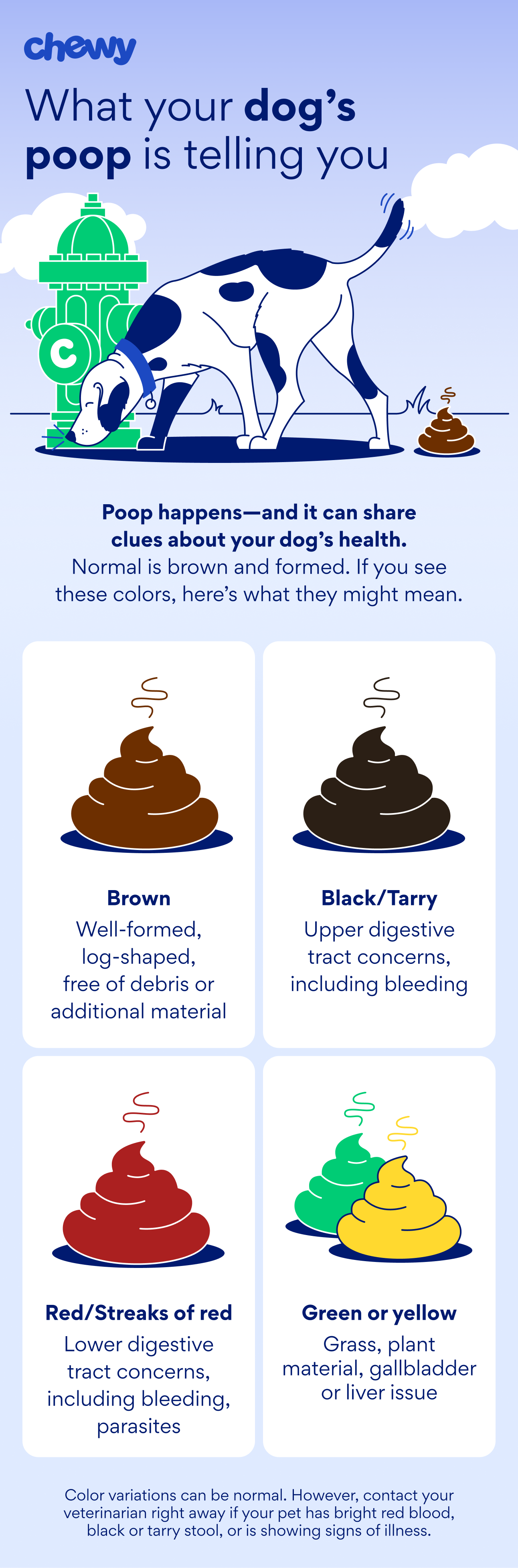 dog poop color chart infographic chewy