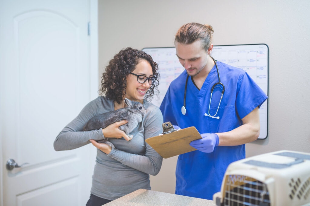 rabbit vaccinations; a pet parent and veterinarian discuss rabbit vaccinations.