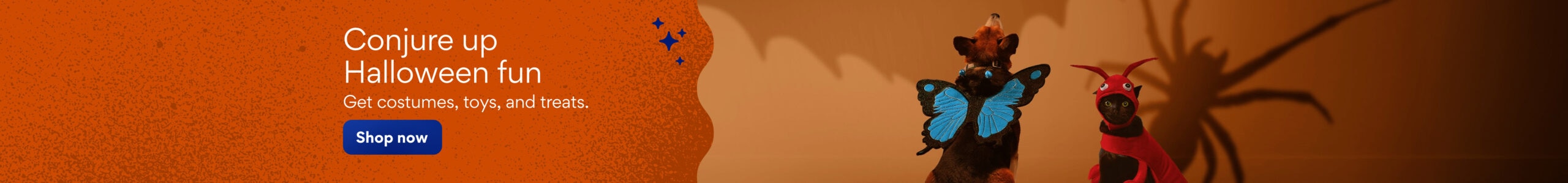 content banner
