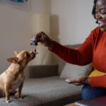 Cod Liver Oil for Dogs: What You Need to Know