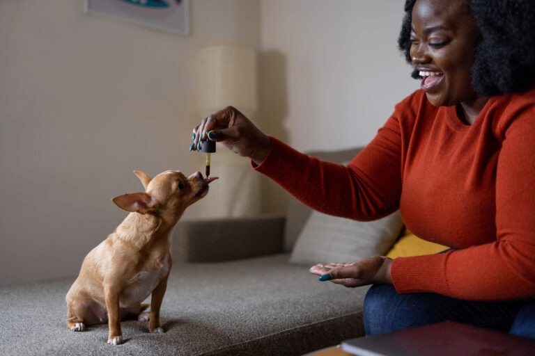 Although it contains omega-3 fatty acids, cod liver oil may not be the best way to supply these to your dog.