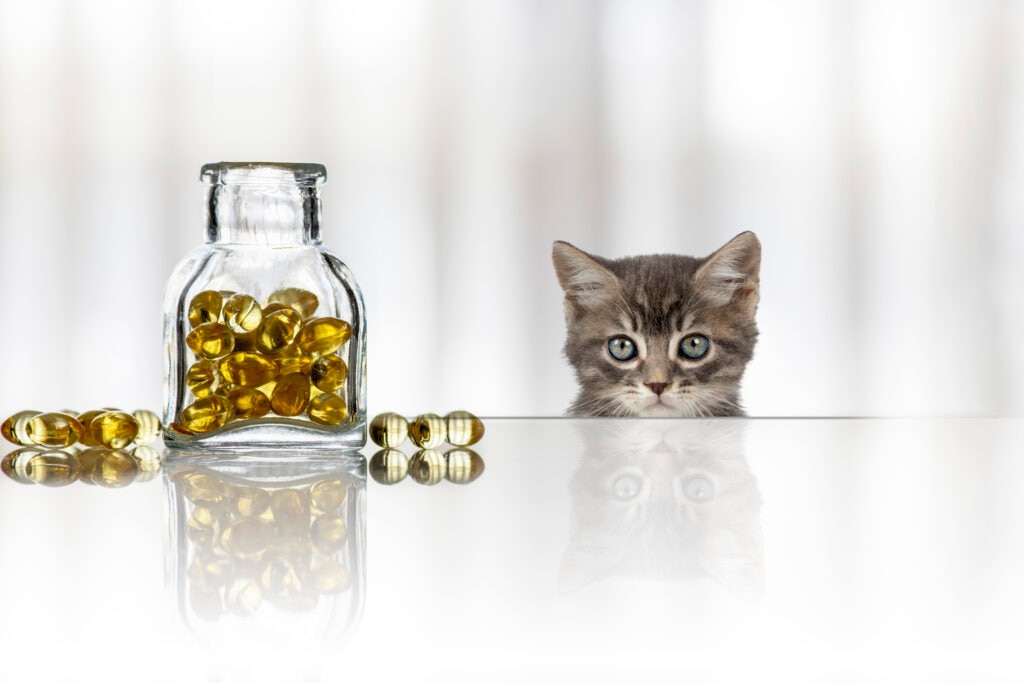 Cod liver oil may not be the best way to provide omega-3 fatty acids to your cat.