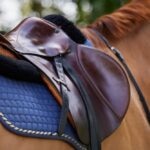 How To Make Your Horse’s Equipment Last