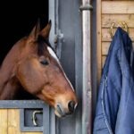 Horse Blanket Management: How To Repair, Clean, and Store Horse Blankets