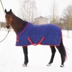 Horse Blanket Temperature Guide