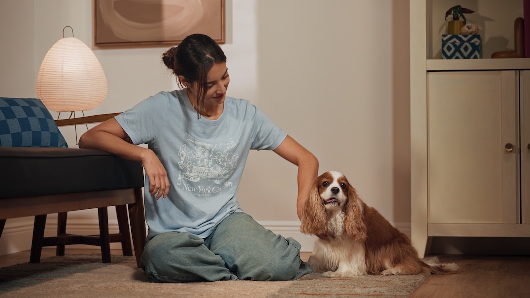 A Cavalier King Charles Spaniel getting pet by a woman on the floor