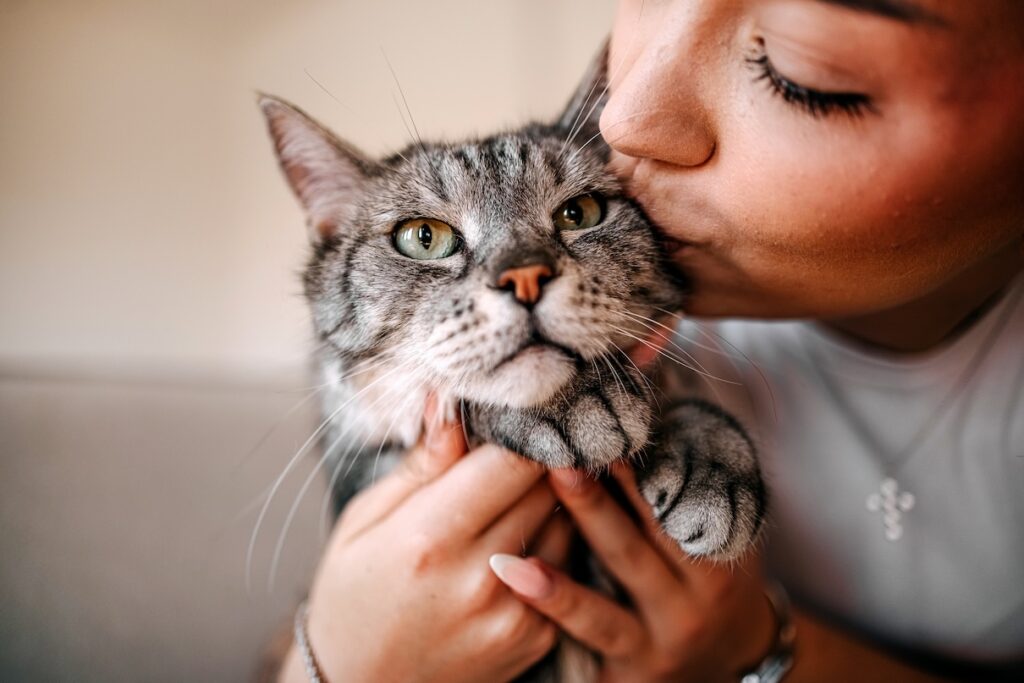 Woman kissing a gray tabby cat. Learn if cats understand kisses and hugs.
