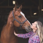 Horse Rescue: How Horses Are Rehabilitated and How You Can Make a Difference