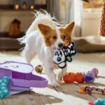 8 Boo Basket Ideas for Your Pet This Halloween