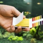 How To Lower pH in a Fish Tank Safely