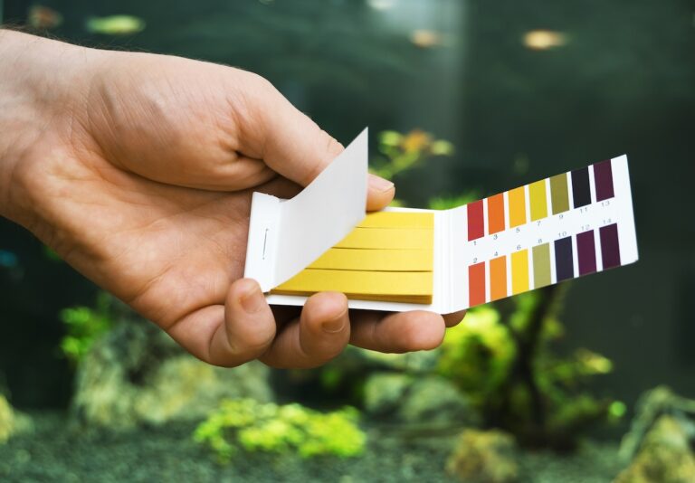 Aquarist using a pH strip to test his aquarium water.