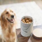 How Many Treats Can a Dog Have Per Day?