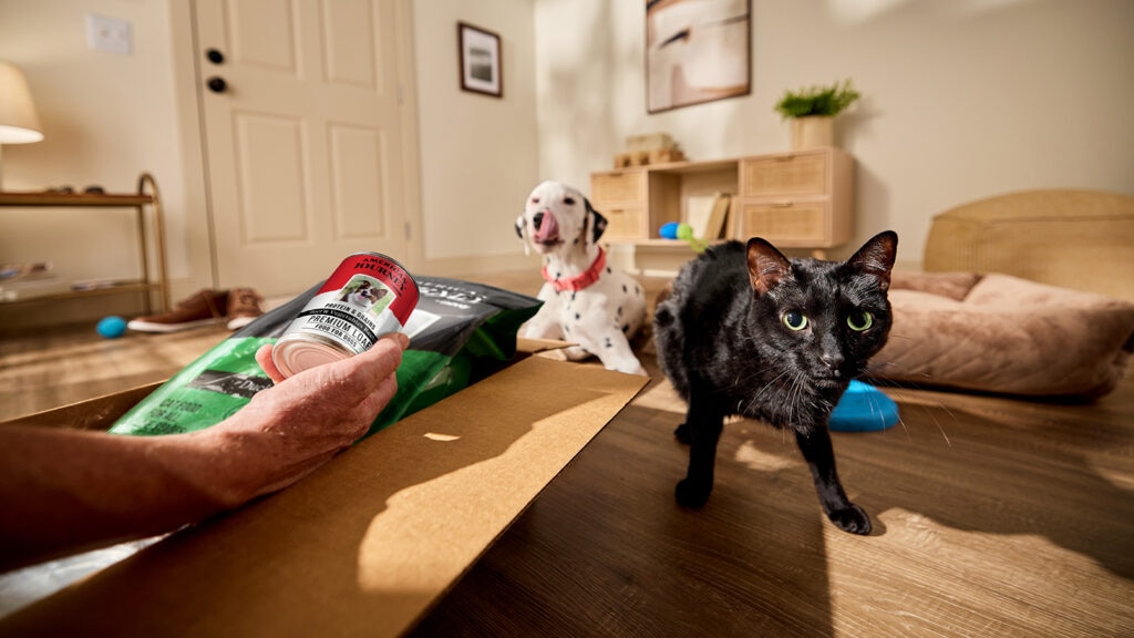 what is AAFCO: pet parent holding canned dog food next to cat and dog
