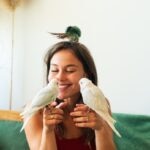 10 Types of Parrots: A Complete Guide to Popular Pet Parrot Species