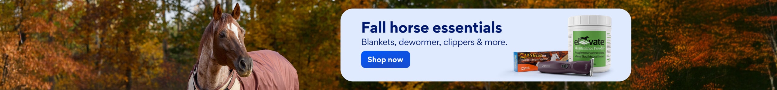Fall Horse Shop