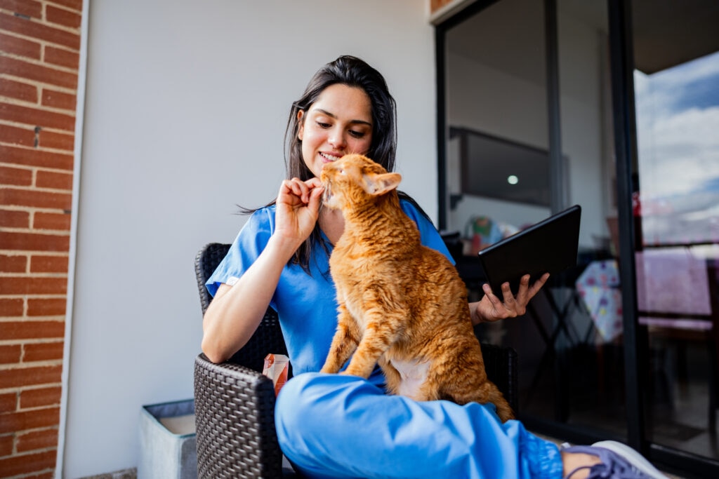 what can you give a cat for pain; a veterinarian gives cat medication.