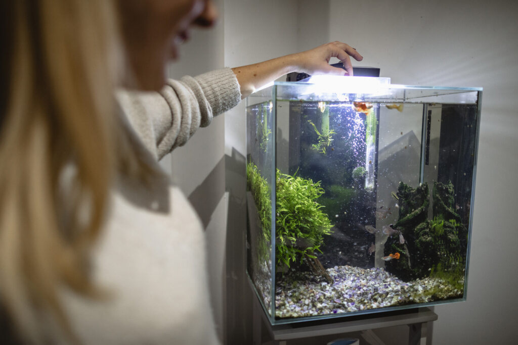 Woman slowly feeding her fish after a power outage