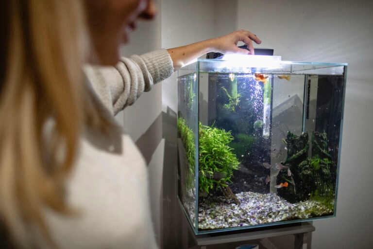 Woman slowly feeding her fish after a power outage