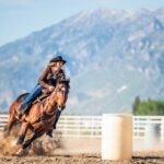 What Is Gymkhana on Horses?