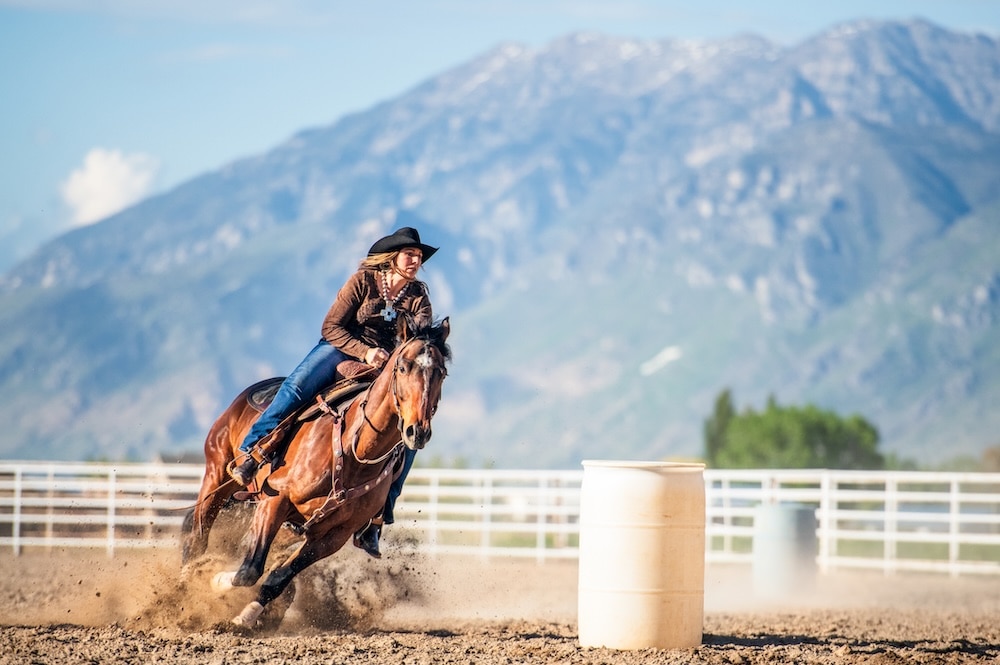 horse barrel racing gymkhana