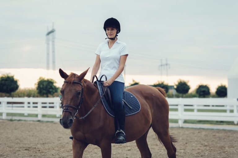 Woman riding a horse beginner first riding lesson