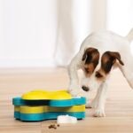 Mental Stimulation for Dogs: How To Keep Your Dog From Getting Bored
