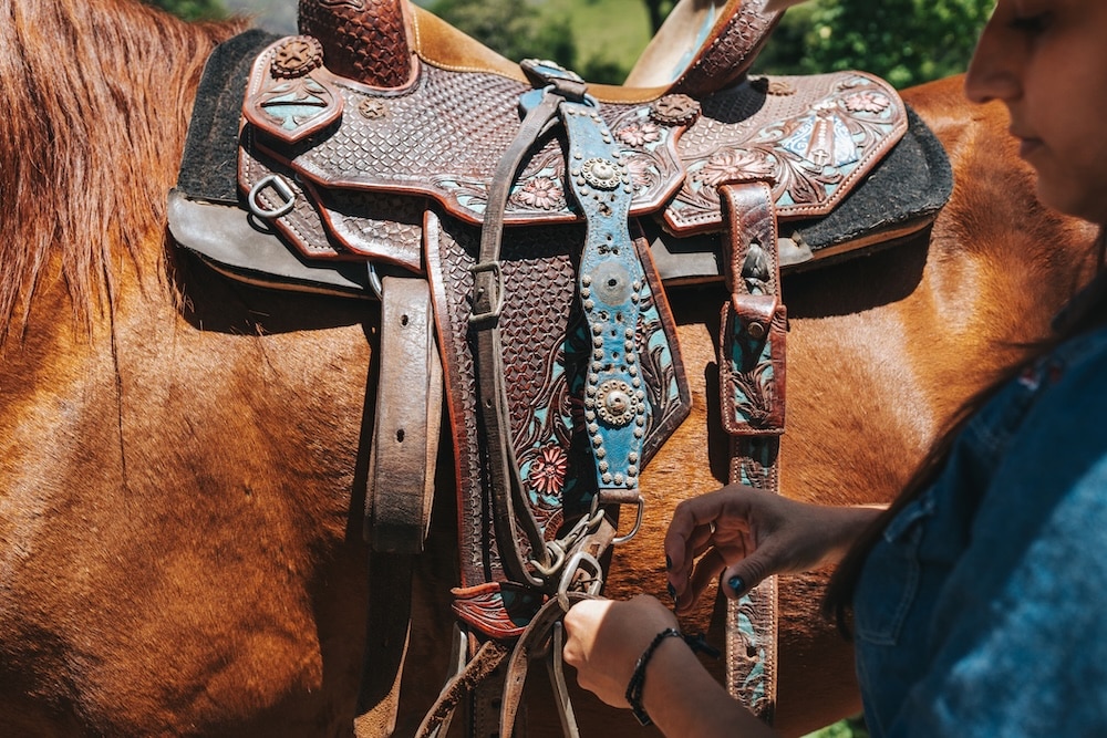 Close up of Western saddle and cinch adjustment
